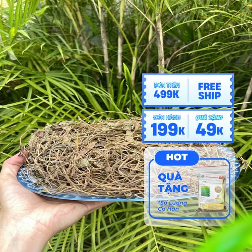 Sản phẩm sài đất khô chất lượng tại Thaphaco
